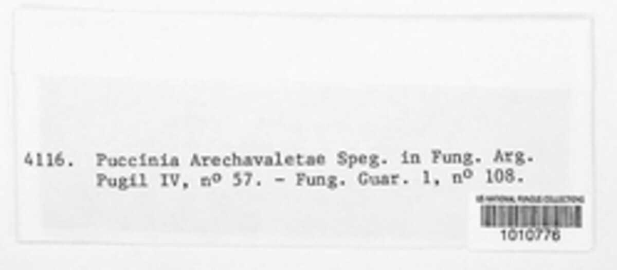 Puccinia arechavaletae image